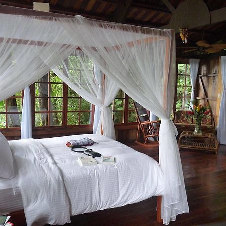 Rio Magnolia Nature Lodge Tinamaste Eksteriør billede